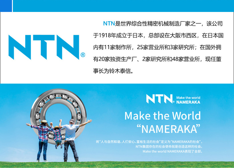 NTN 7003 